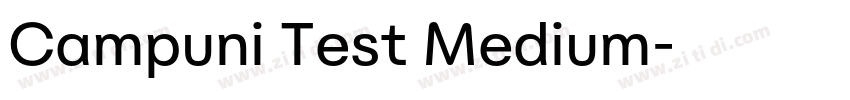 Campuni Test Medium字体转换